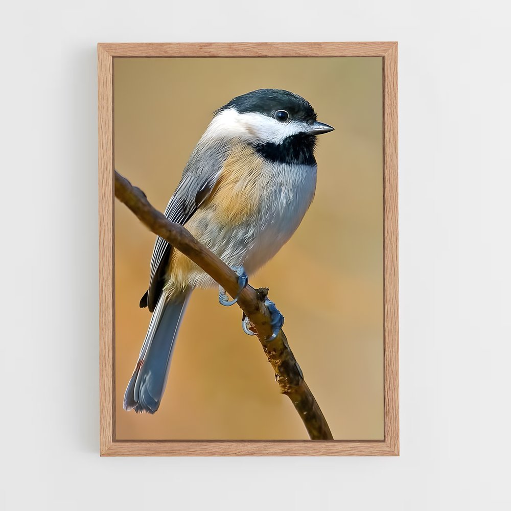 ap-chickadee-4 cadre Bois clair