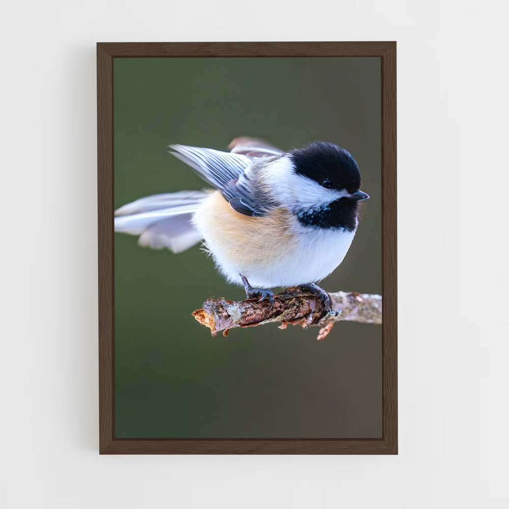 ap-chickadee-5 cadre Bois foncé
