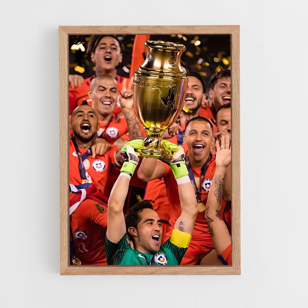 ap-chile national football team-2 cadre Bois clair