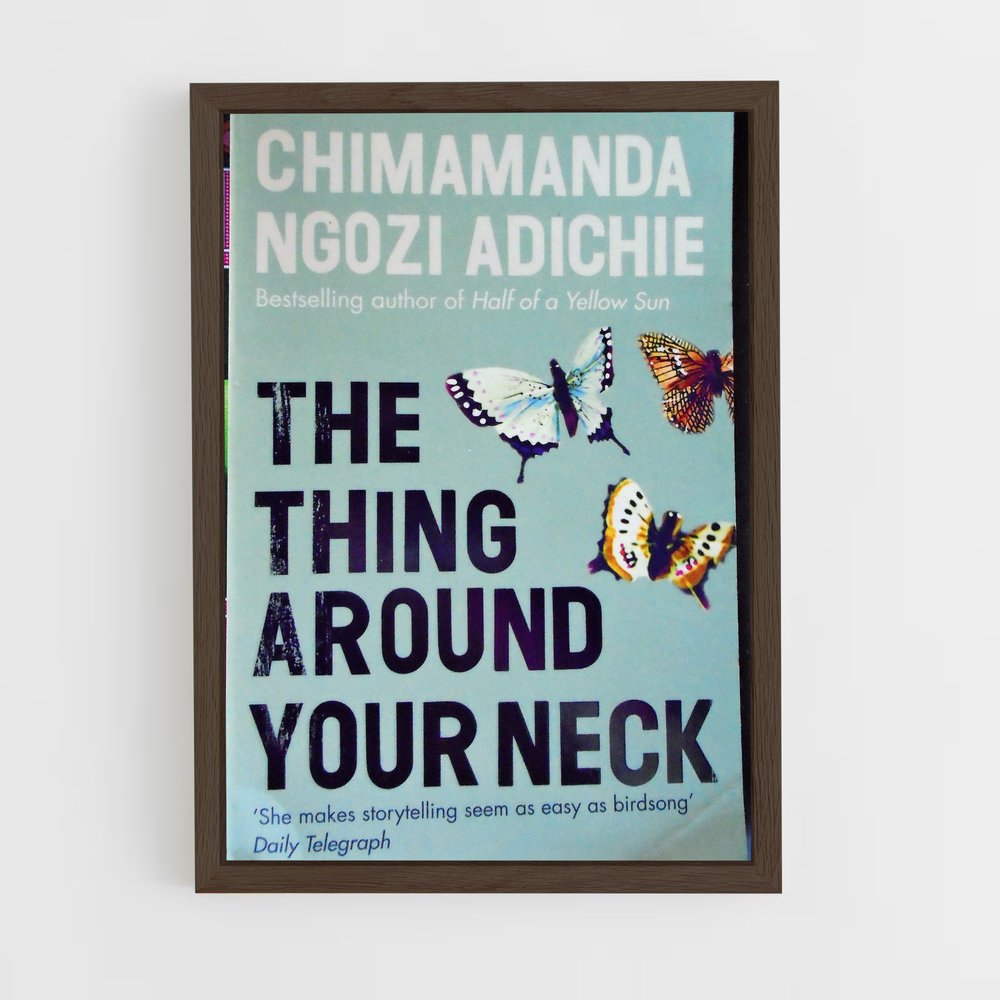 ap-chimamanda ngozi adichie-3 cadre Bois foncé