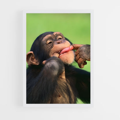 ap-chimpanzee-1 cadre Blanc