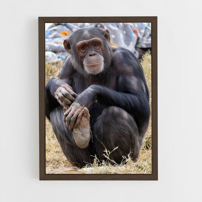 ap-chimpanzee-11 cadre Bois foncé