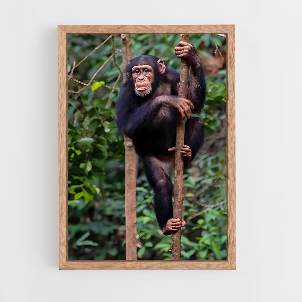 ap-chimpanzee-6 cadre Bois clair