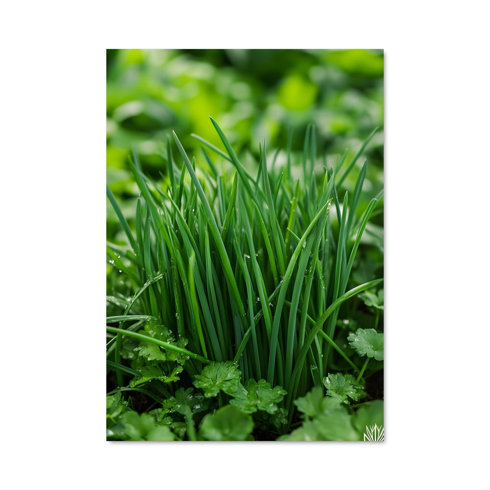 Poster Pluie de Vert