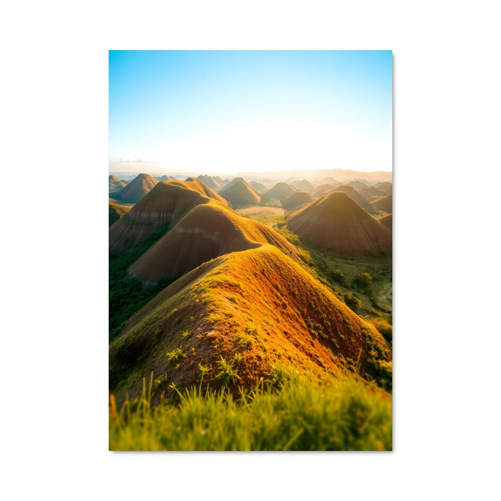 Poster Collines Dorées