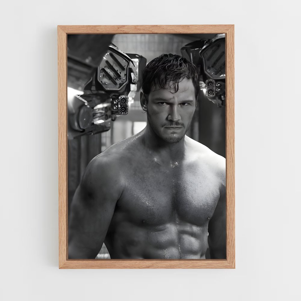 ap-chris pratt-2 cadre Bois clair