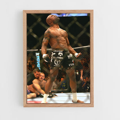 ap-chuck liddell-3 cadre Bois clair