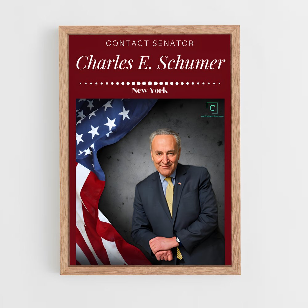 ap-chuck schumer-2 cadre Bois clair