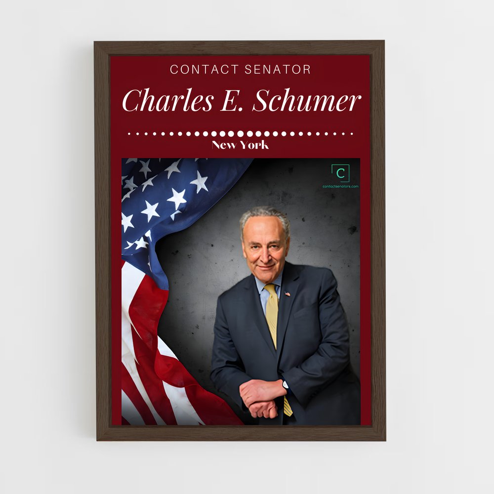 ap-chuck schumer-2 cadre Bois foncé