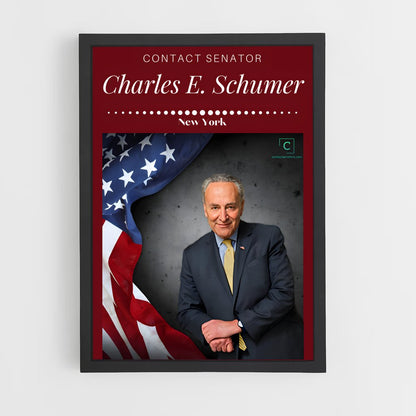 ap-chuck schumer-2 cadre Noir
