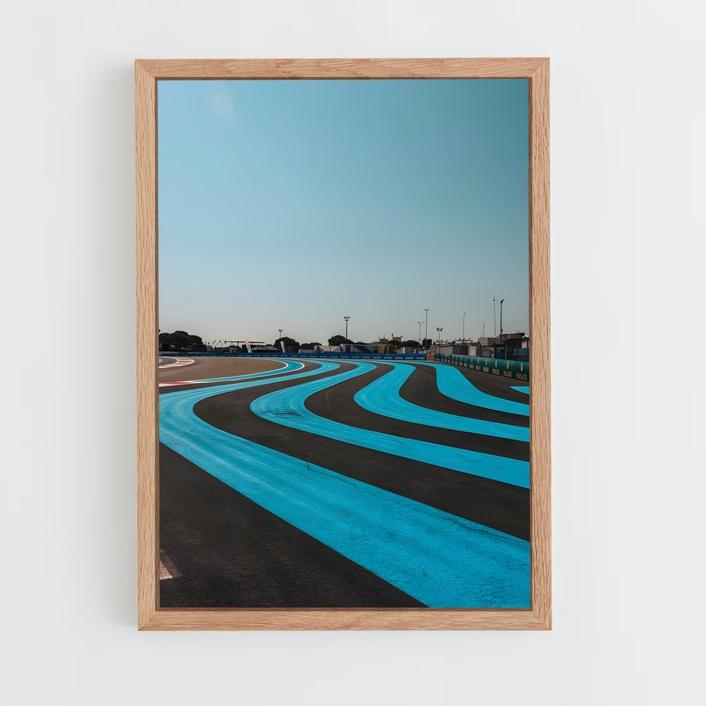 ap-circuit paul ricard france-3 cadre Bois clair