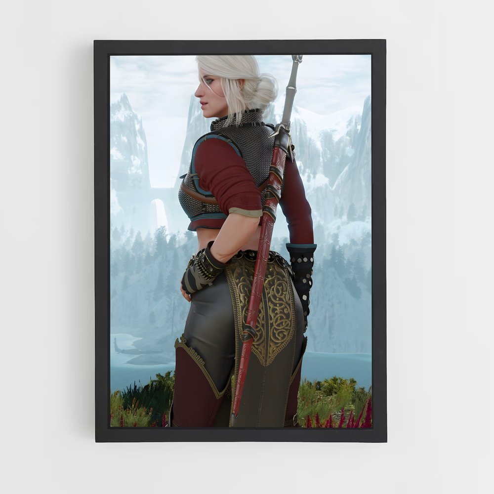 ap-ciri witcher-12 cadre Noir