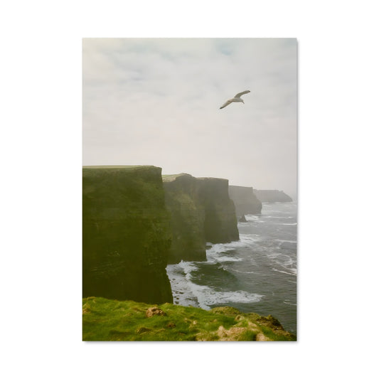 Poster Liberté Céleste