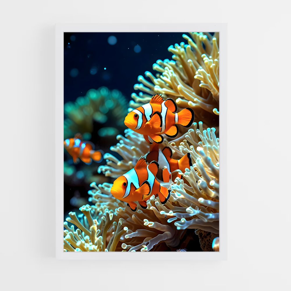ap-clownfish-1 cadre Blanc