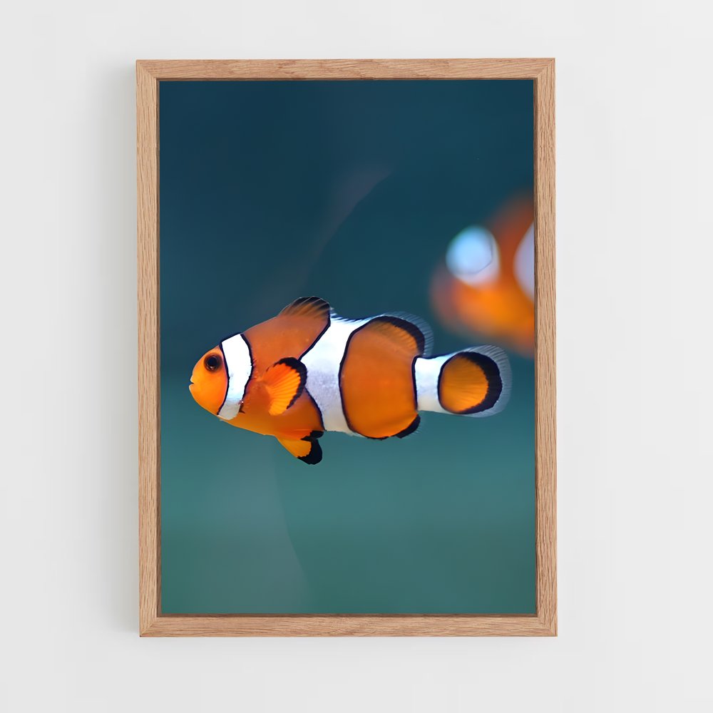 ap-clownfish-5 cadre Bois clair