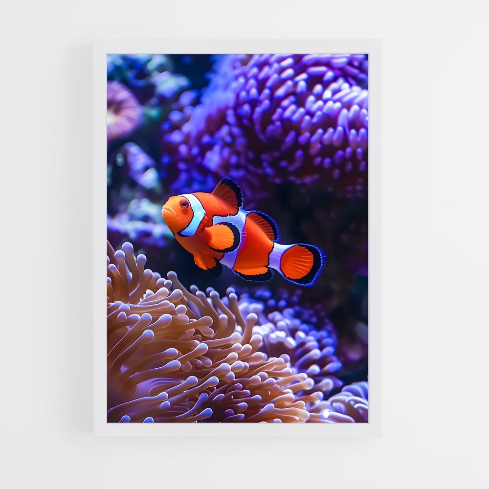 ap-clownfish-7 cadre Blanc