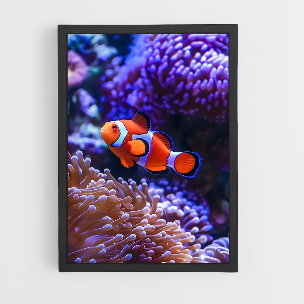 ap-clownfish-7 cadre Noir