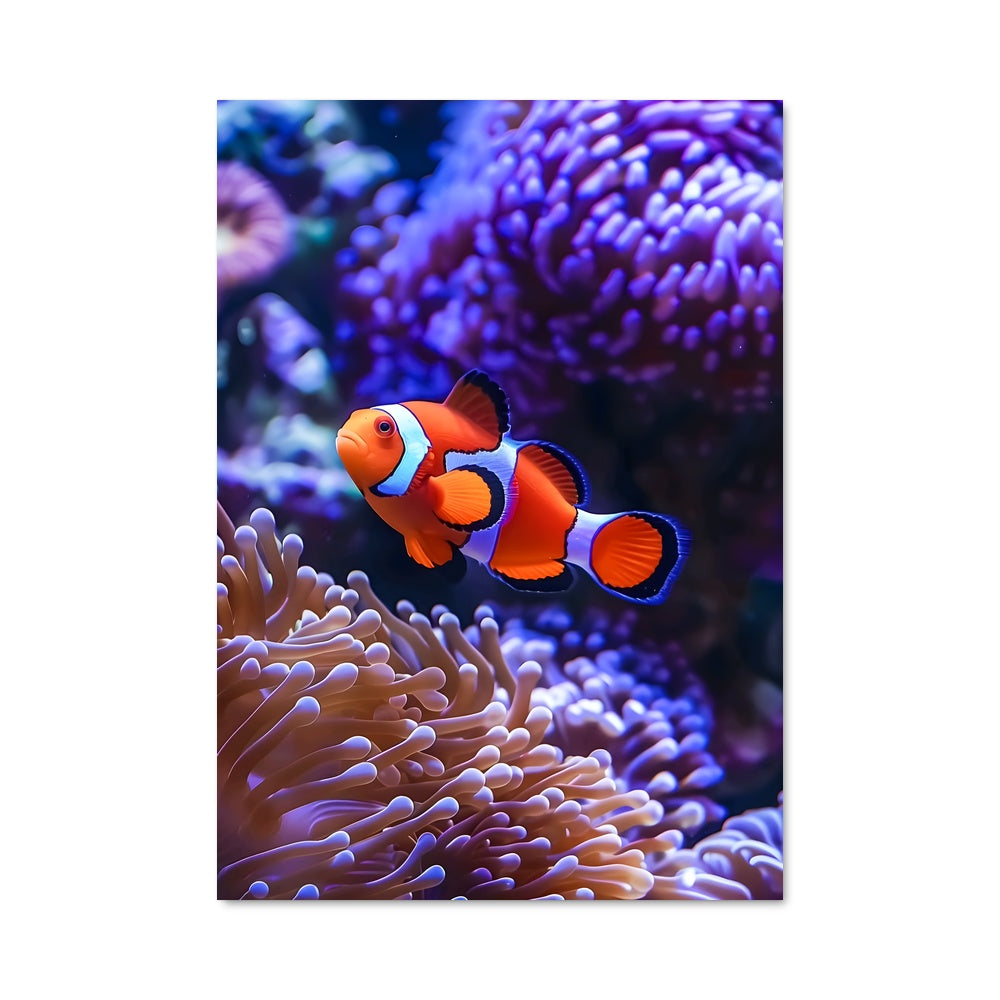 Poster L'Anémone Joyeuse