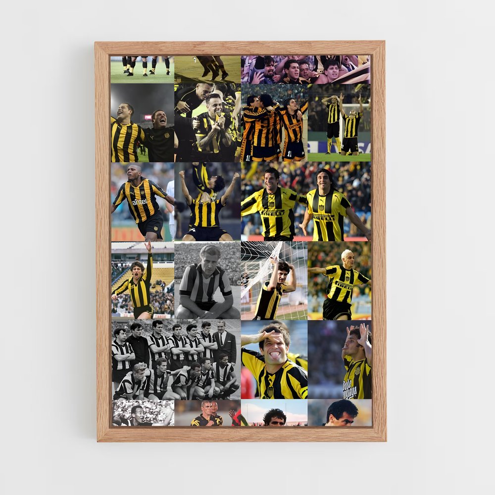 ap-club atletico penarol-6 cadre Bois clair