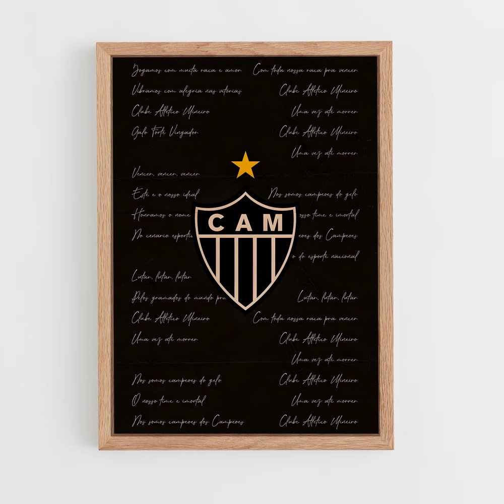 ap-clube atletico mineiro-13 cadre Bois clair