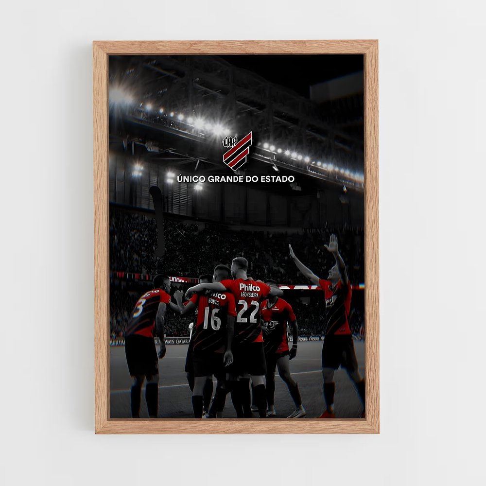 ap-clube atletico paranaense-8 cadre Bois clair