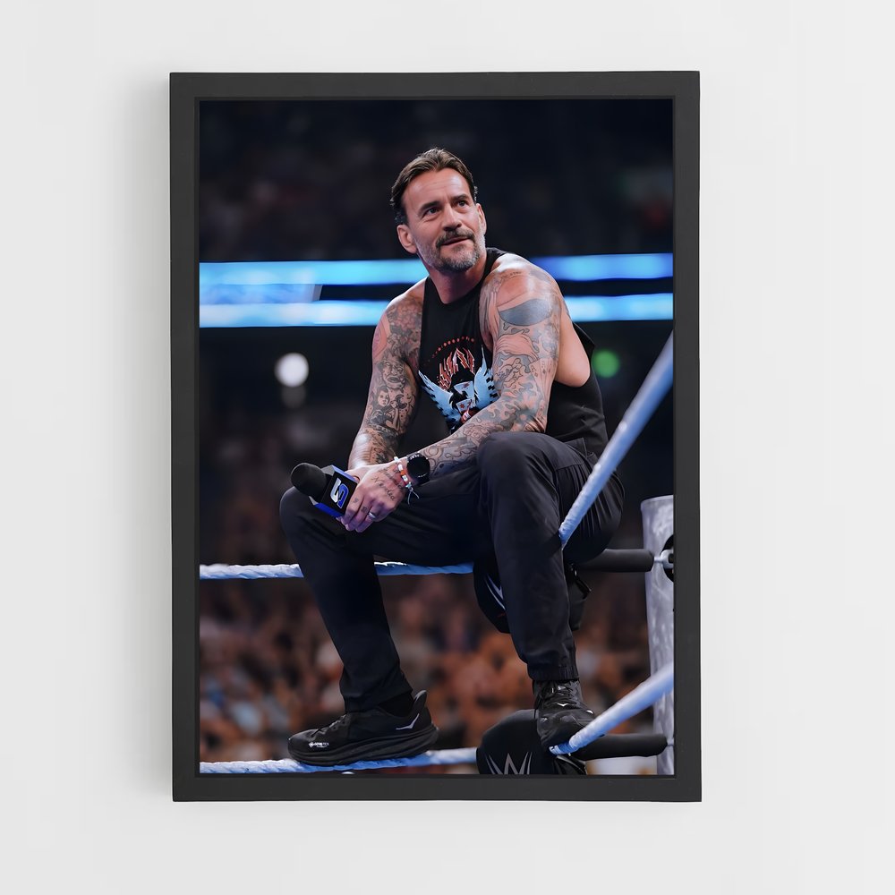 ap-cm punk-5 cadre Noir