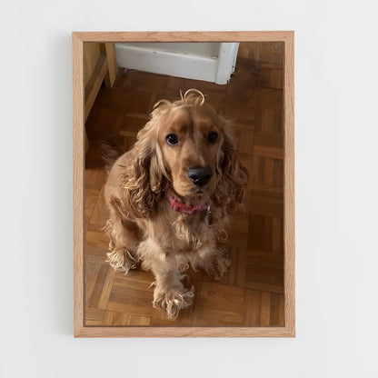 ap-cocker spaniel-1 cadre Bois clair