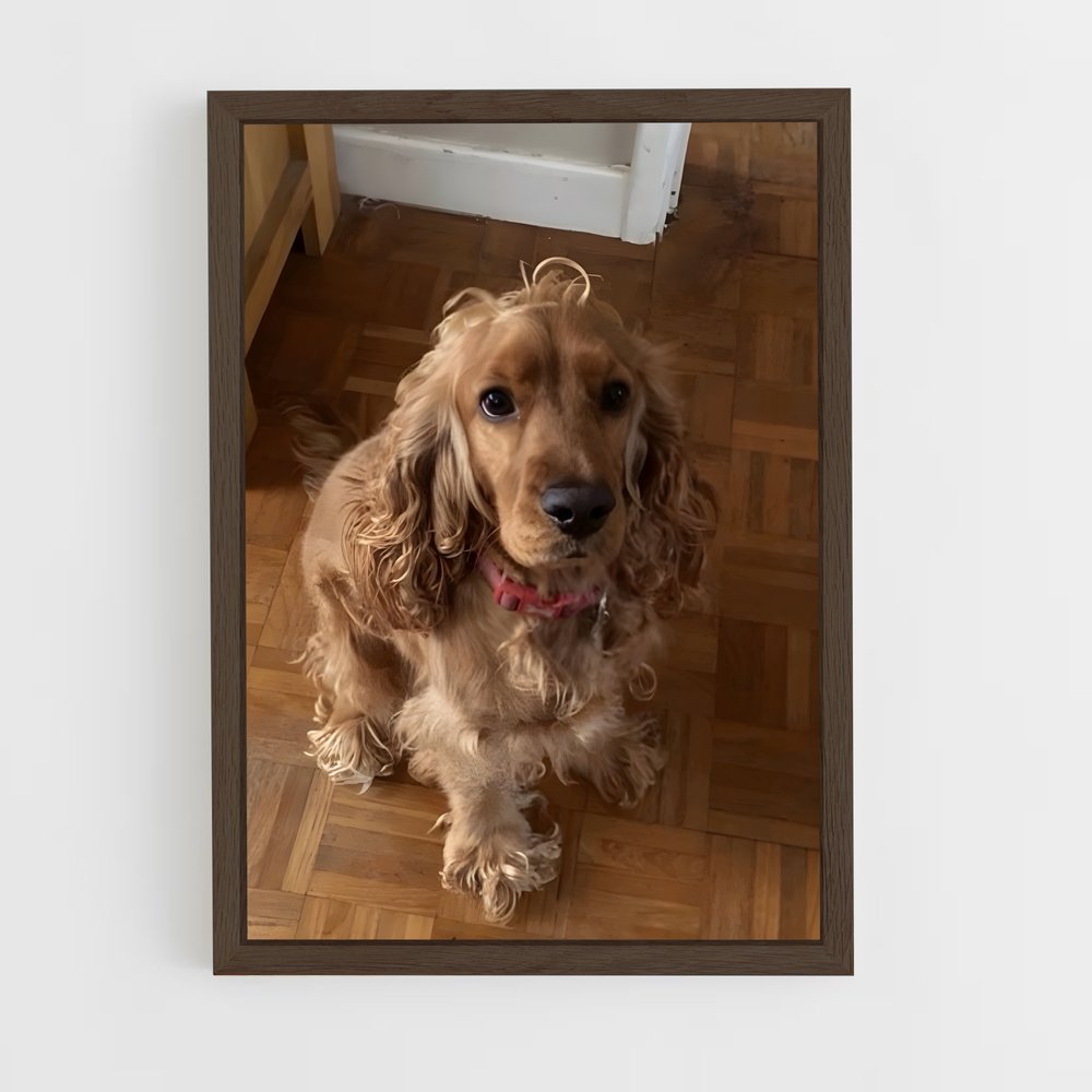 ap-cocker spaniel-1 cadre Bois foncé