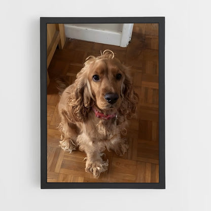 ap-cocker spaniel-1 cadre Noir