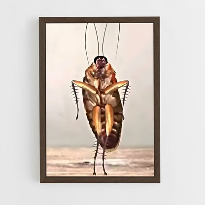 ap-cockroach-2 cadre Bois foncé