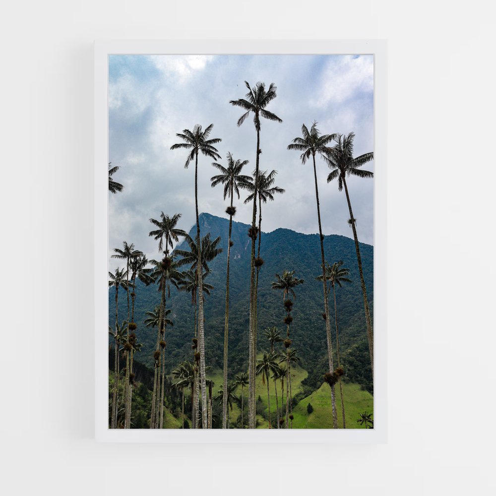 ap-cocora valley-1 cadre Blanc