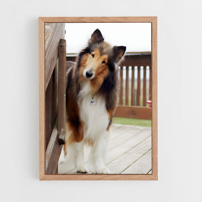 ap-collie-1 cadre Bois clair