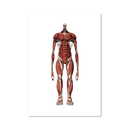 Poster Titan Muscles