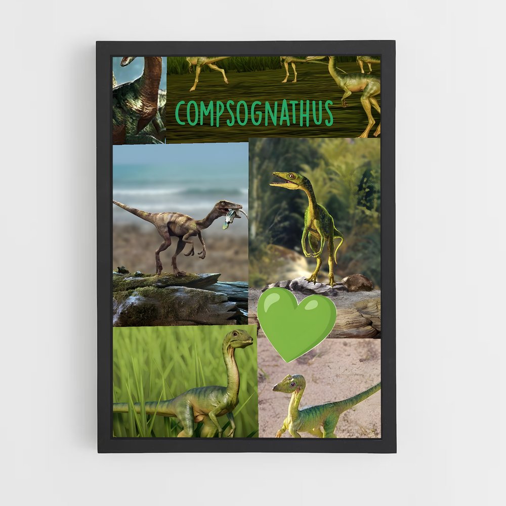 ap-compsognathus-2 cadre Noir