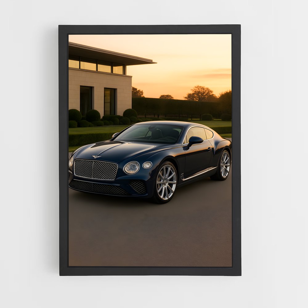 ap-continental gt speed-5 cadre Noir