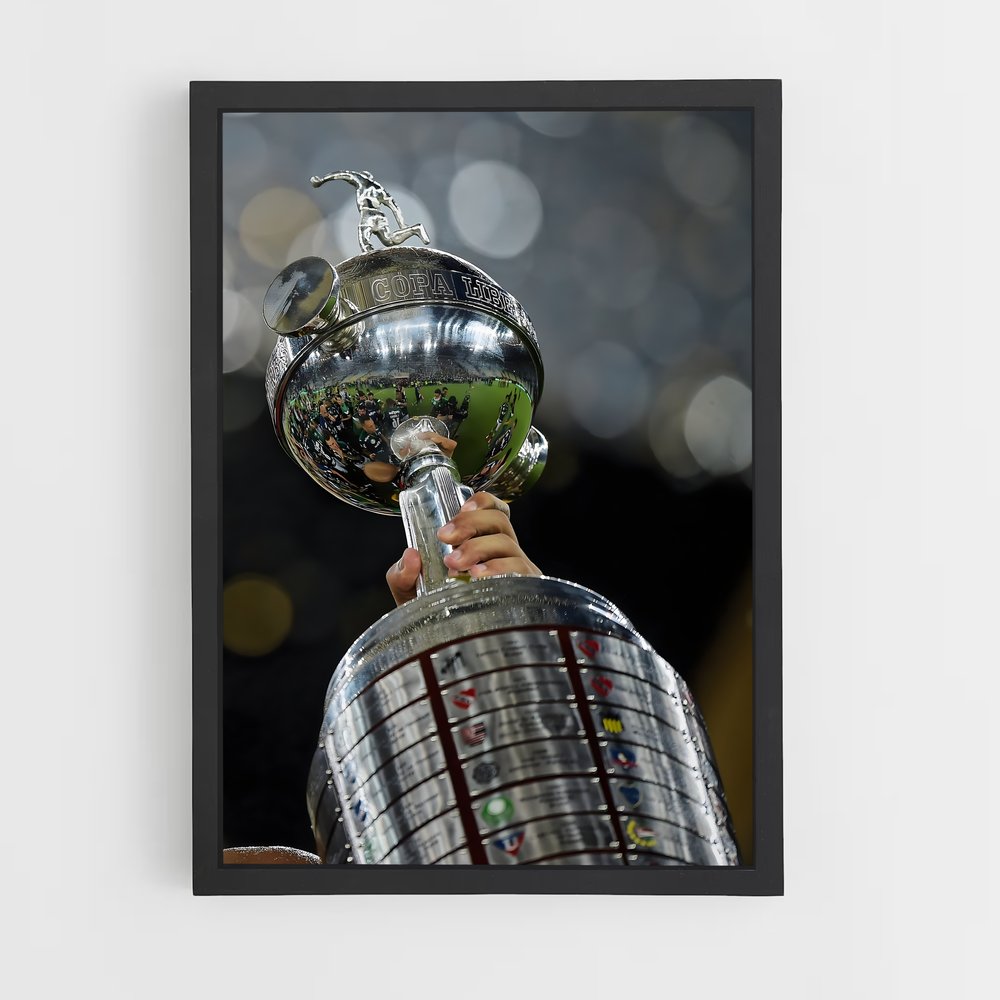 ap-copa libertadores-4 cadre Noir