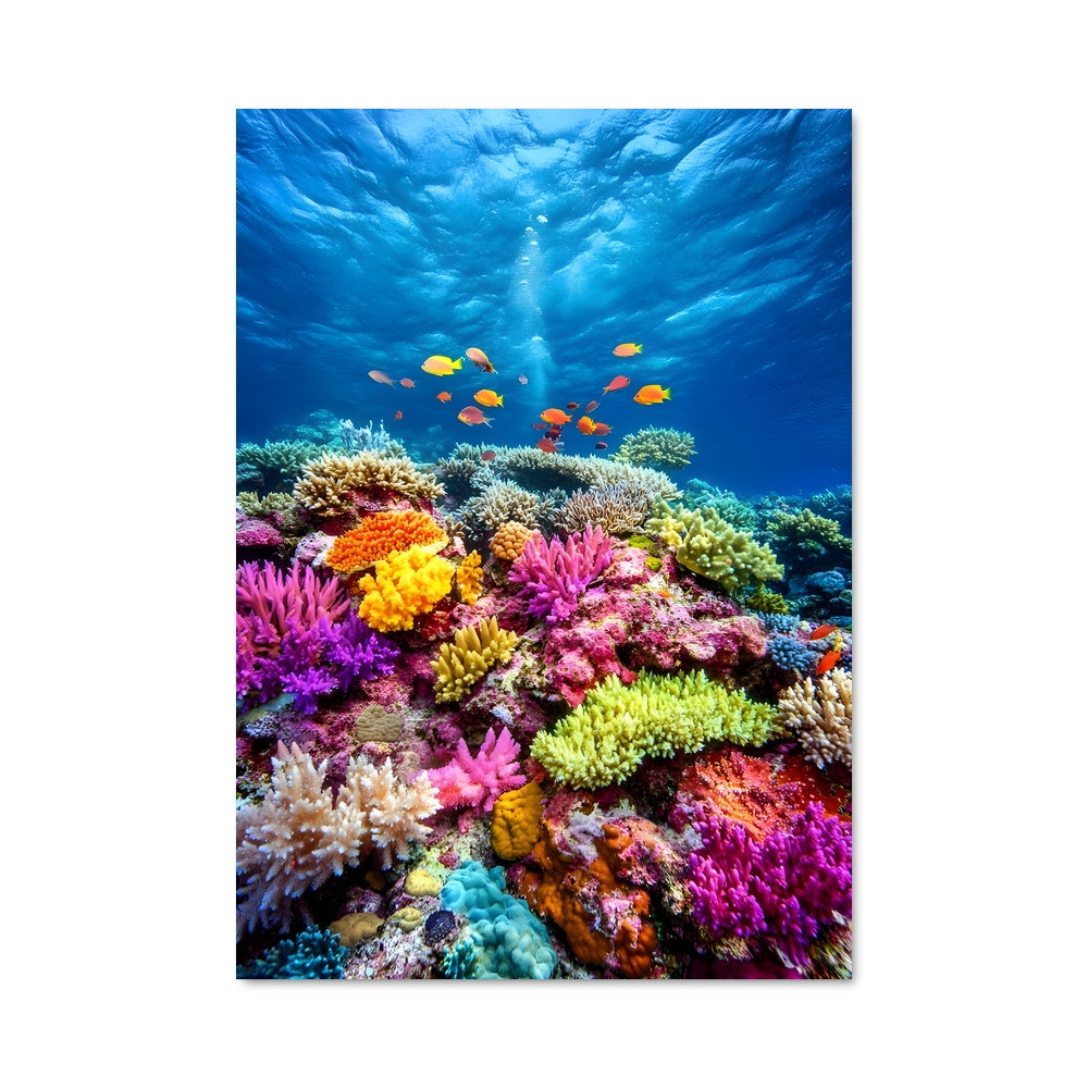 Poster Coral reef 97257
