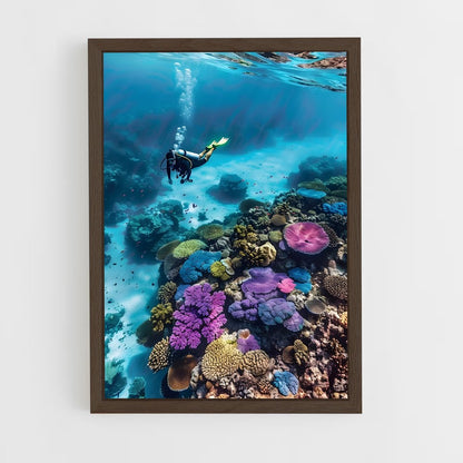 ap-coral reef-6 cadre Bois foncé