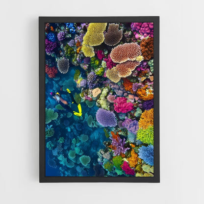 ap-coral reef-9 cadre Noir