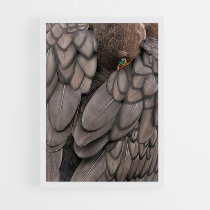 ap-cormorant-5 cadre Blanc