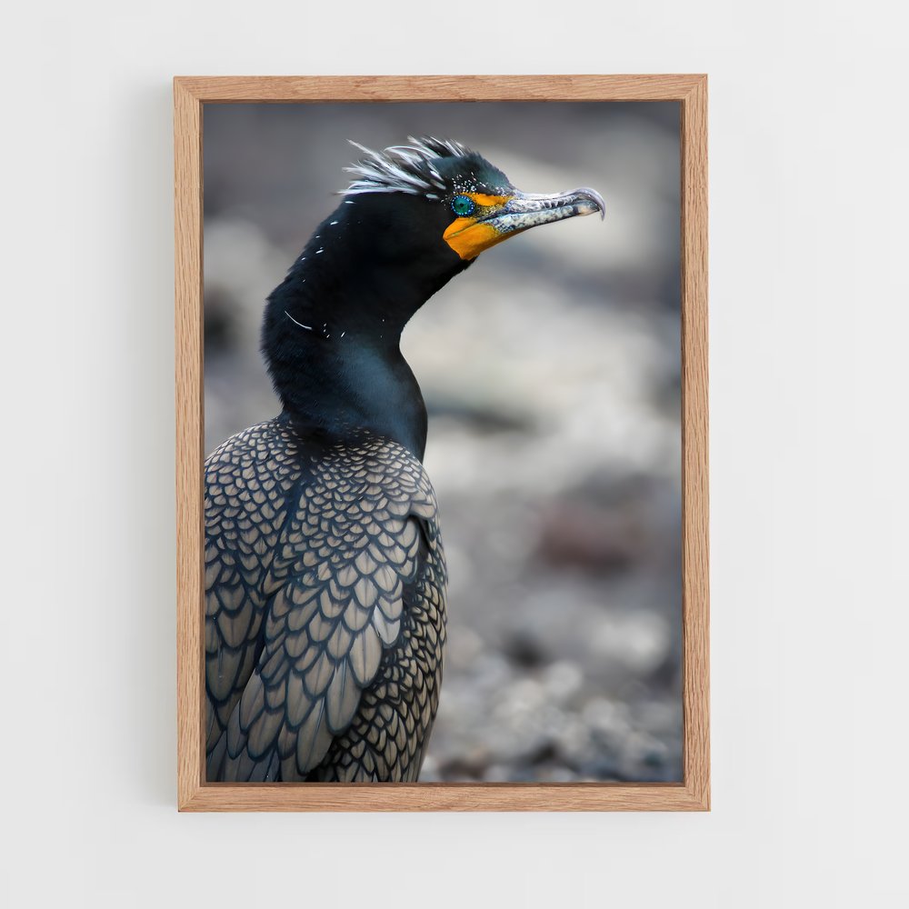 ap-cormorant-6 cadre Bois clair