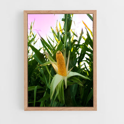 ap-corn-5 cadre Bois clair