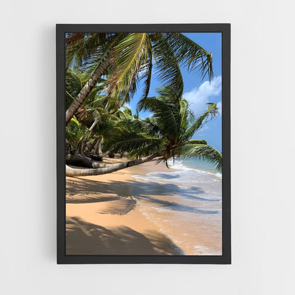 ap-corn islands-3 cadre Noir