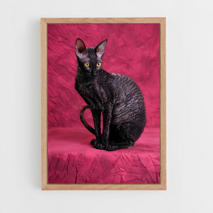 ap-cornish rex-1 cadre Bois clair
