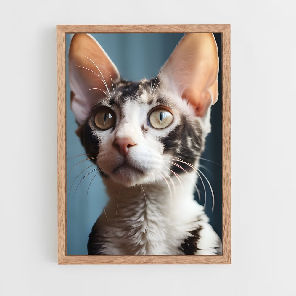 ap-cornish rex-3 cadre Bois clair