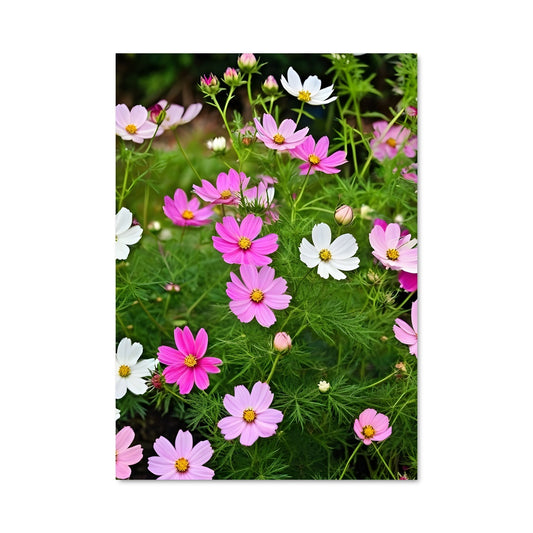 Poster Jardin Cosmique
