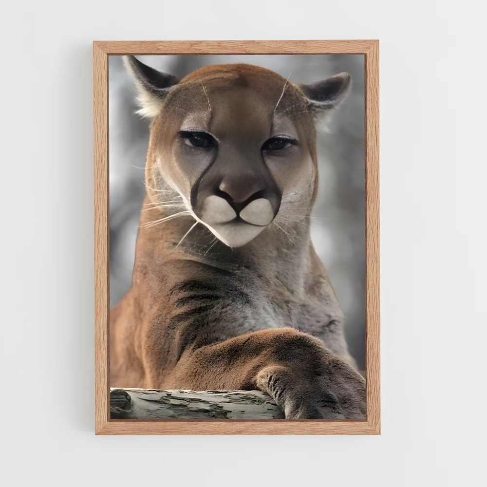 ap-cougar-1 cadre Bois clair