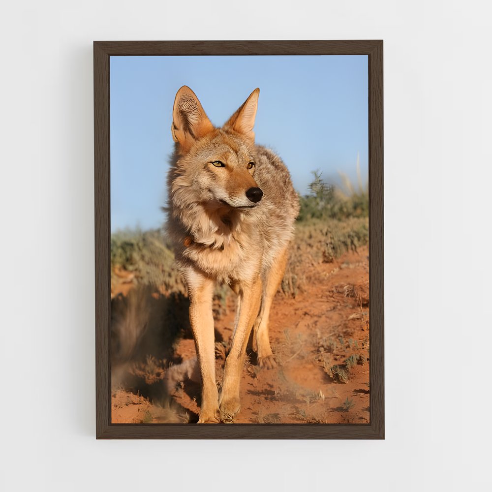 ap-coyote-4 cadre Bois foncé