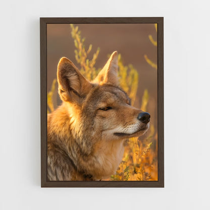 ap-coyote-6 cadre Bois foncé