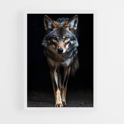 ap-coyote-7 cadre Blanc